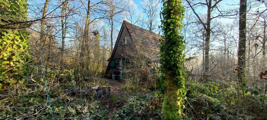 Het Boshuisje In Durbuy Villa Eksteriør billede