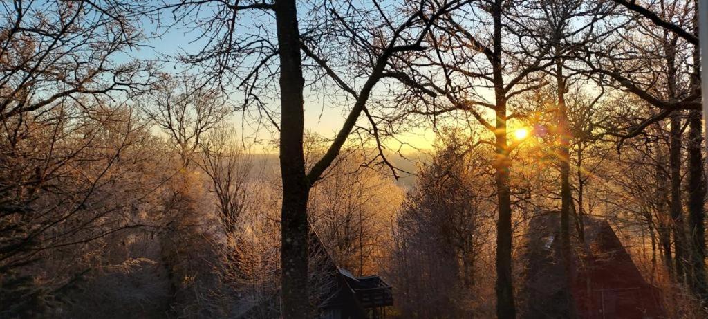 Het Boshuisje In Durbuy Villa Eksteriør billede